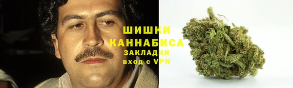 a pvp Богданович