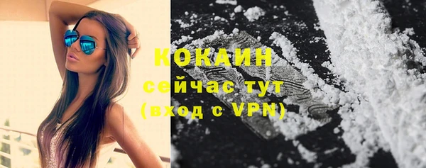 a pvp Богданович